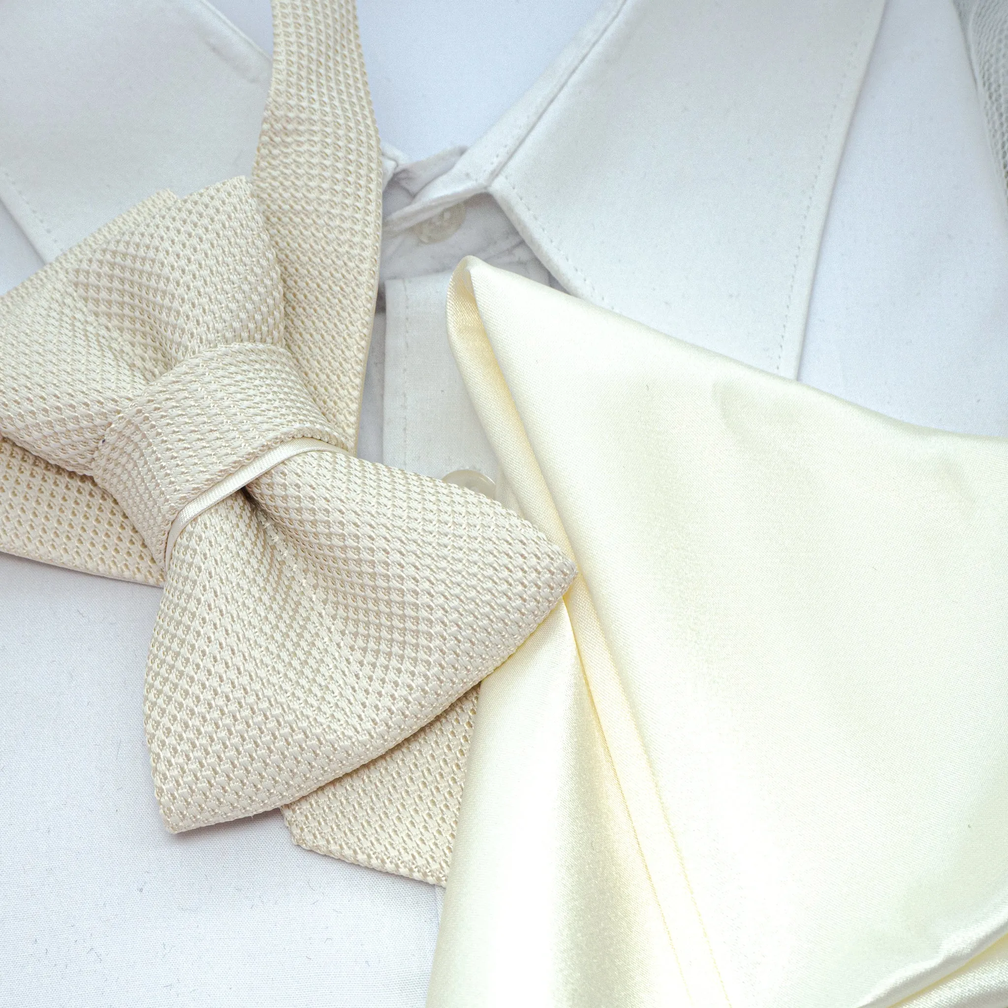 BOW TIE "PEARL"